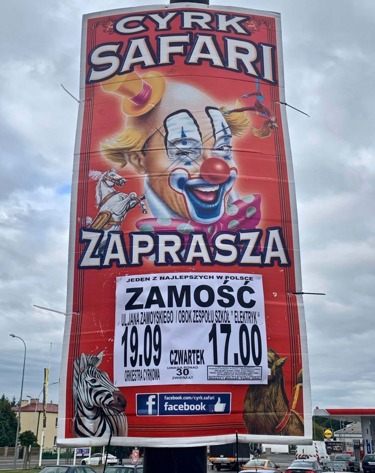 Tradycyjny Cyrk Safari wystąpi w Zamościu. Wybieracie się?