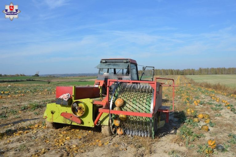 Wypadek podczas zbioru dyni. Maszyna wciągnęła kobiecie rękę