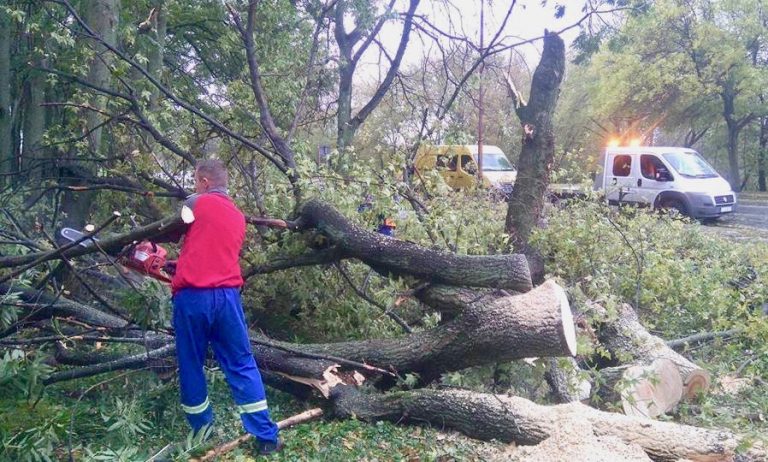 Silny wiatr łamał drzewa i uszkadzał dachy w powiecie zamojskim