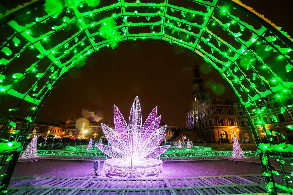 swiec sie Świetlny labirynt w sercu miasta. Zamość uroczyście odpali świąteczne iluminacje