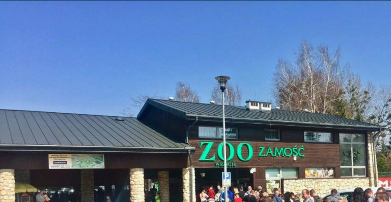 Dobra wiadomość! ZOO można zwiedzać bezpłatnie