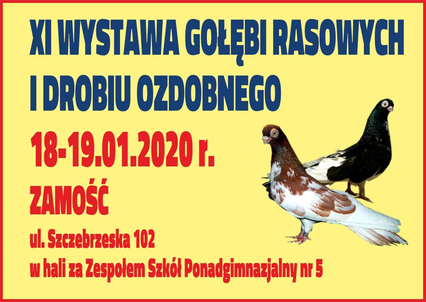 reklama do gazety Zamość: Przed nami XI Wystawa Gołębi Rasowych i Drobiu Ozdobnego