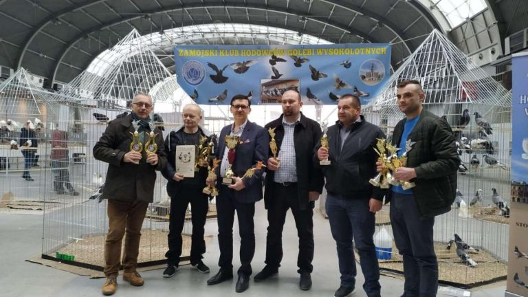 Zamojscy gołębiarze przywieźli z Kielc cenne trofea [ZDJĘCIA]