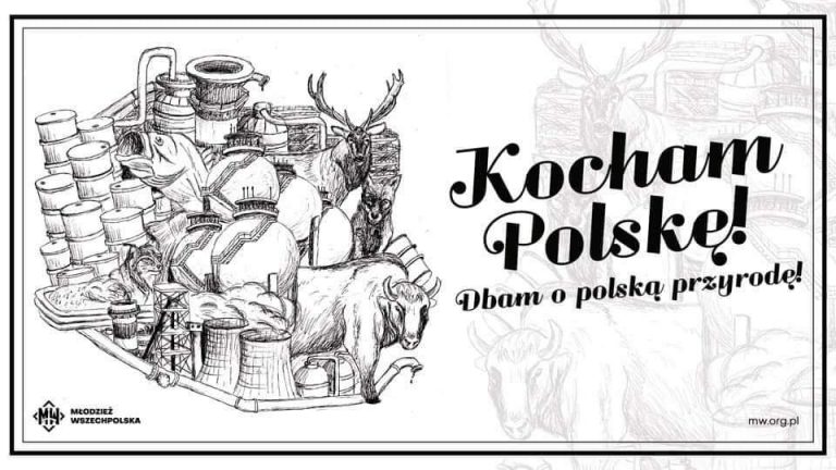 Zamość: “Kocham Polskę!”. Walentynkowa akcja  Młodzieży Wszechpolskiej. Przyjdź i odbierz plakat