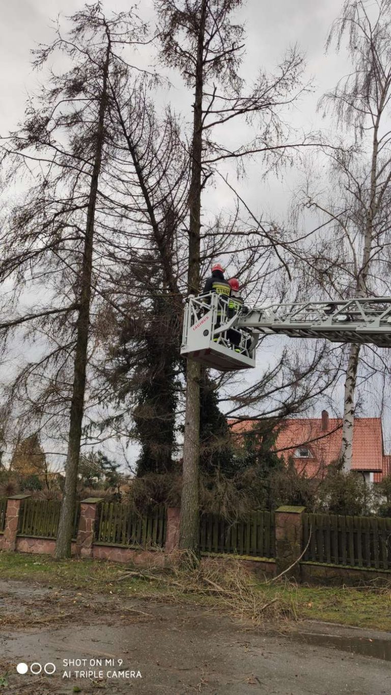 Gałąź przebiła szybę szynobusu, raniąc motorniczego. Kilkanaście interwencji straży w związku z silnym wiatrem