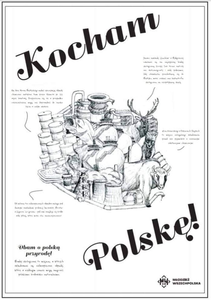 kocham polske plakat Zamość: "Kocham Polskę!". Walentynkowa akcja Młodzieży Wszechpolskiej. Przyjdź i odbierz plakat