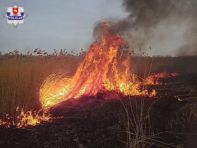 72- latka ukarana mandatem za wypalanie traw