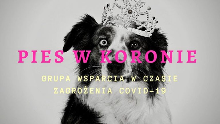 Grupa “Pies w Koronie” pomaga właścicielom psów, którzy przechodzą kwarantannę lub ze względu na epidemię boją się wychodzić z domu