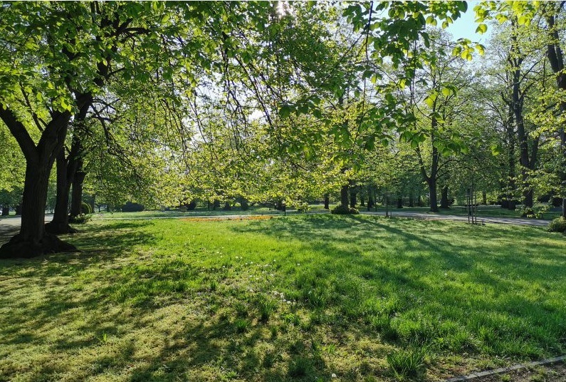 park Zamość: Pierwsze koszenie miejskich trawników po zimie