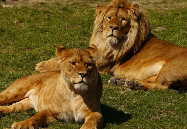 fot. ZOO Zamość