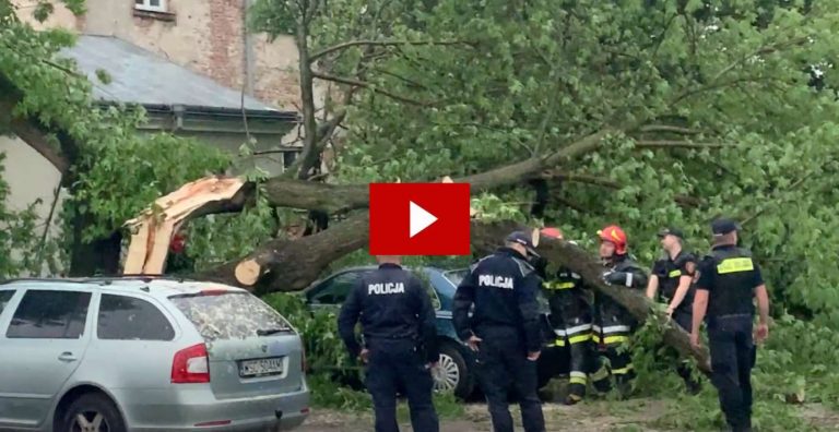 3 uszkodzone auta na Królowej Jadwigi, powalone drzewa. Kolejne zdjęcia i FILM