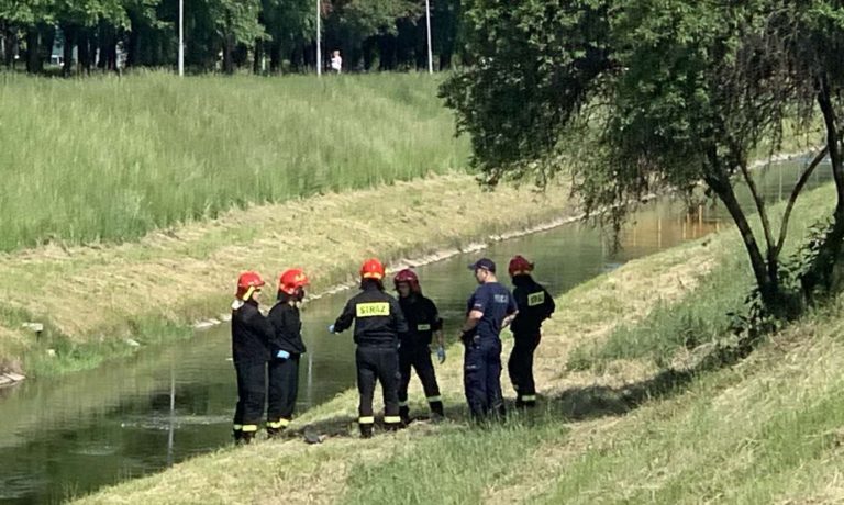Zwłoki wyłowione z Łabuńki. Ustalono tożsamość mężczyzny