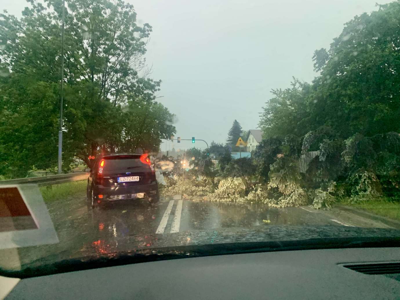 img 9500 Nad Zamościem przeszła potężna burza. Powaliła wiele drzew, które blokują drogi (zdjęcia)