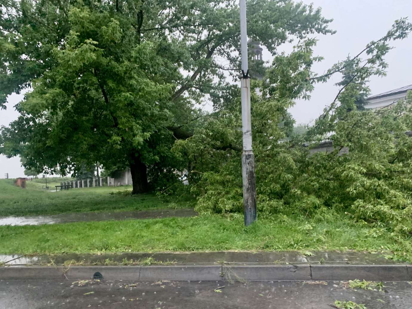 img 9504 Nad Zamościem przeszła potężna burza. Powaliła wiele drzew, które blokują drogi (zdjęcia)