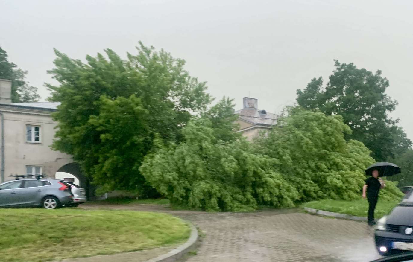 img 9505 Nad Zamościem przeszła potężna burza. Powaliła wiele drzew, które blokują drogi (zdjęcia)