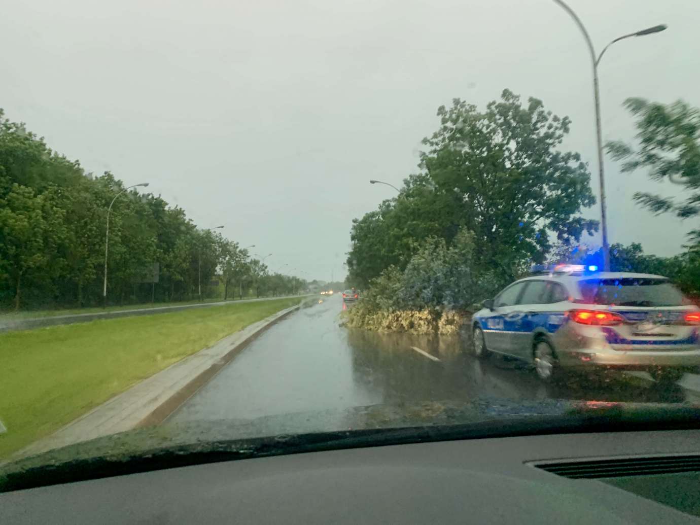 img 9513 Nad Zamościem przeszła potężna burza. Powaliła wiele drzew, które blokują drogi (zdjęcia)