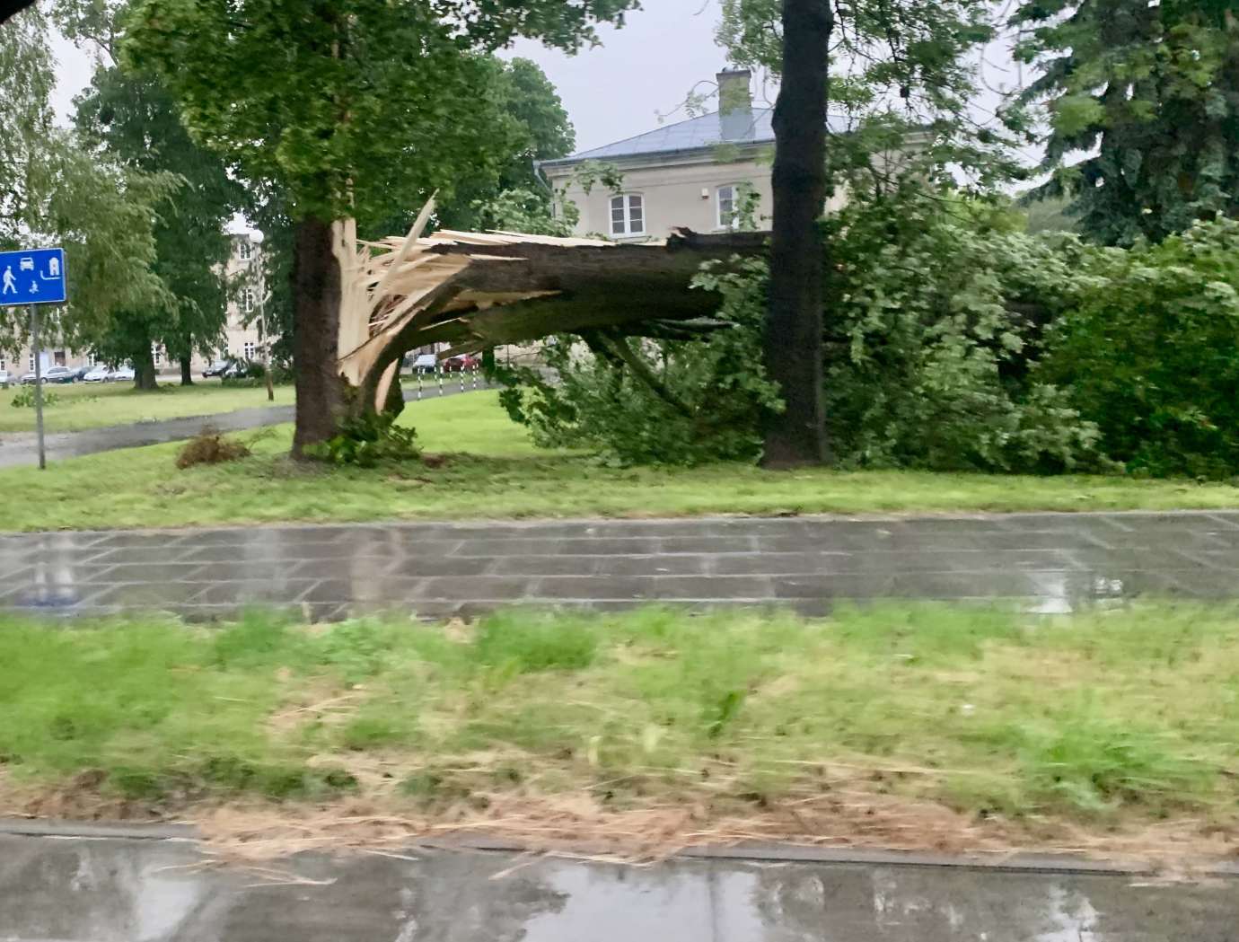 img 9519 Nad Zamościem przeszła potężna burza. Powaliła wiele drzew, które blokują drogi (zdjęcia)