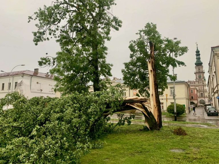 Nad Zamościem przeszła potężna burza. Powaliła wiele drzew, które blokują drogi (zdjęcia)