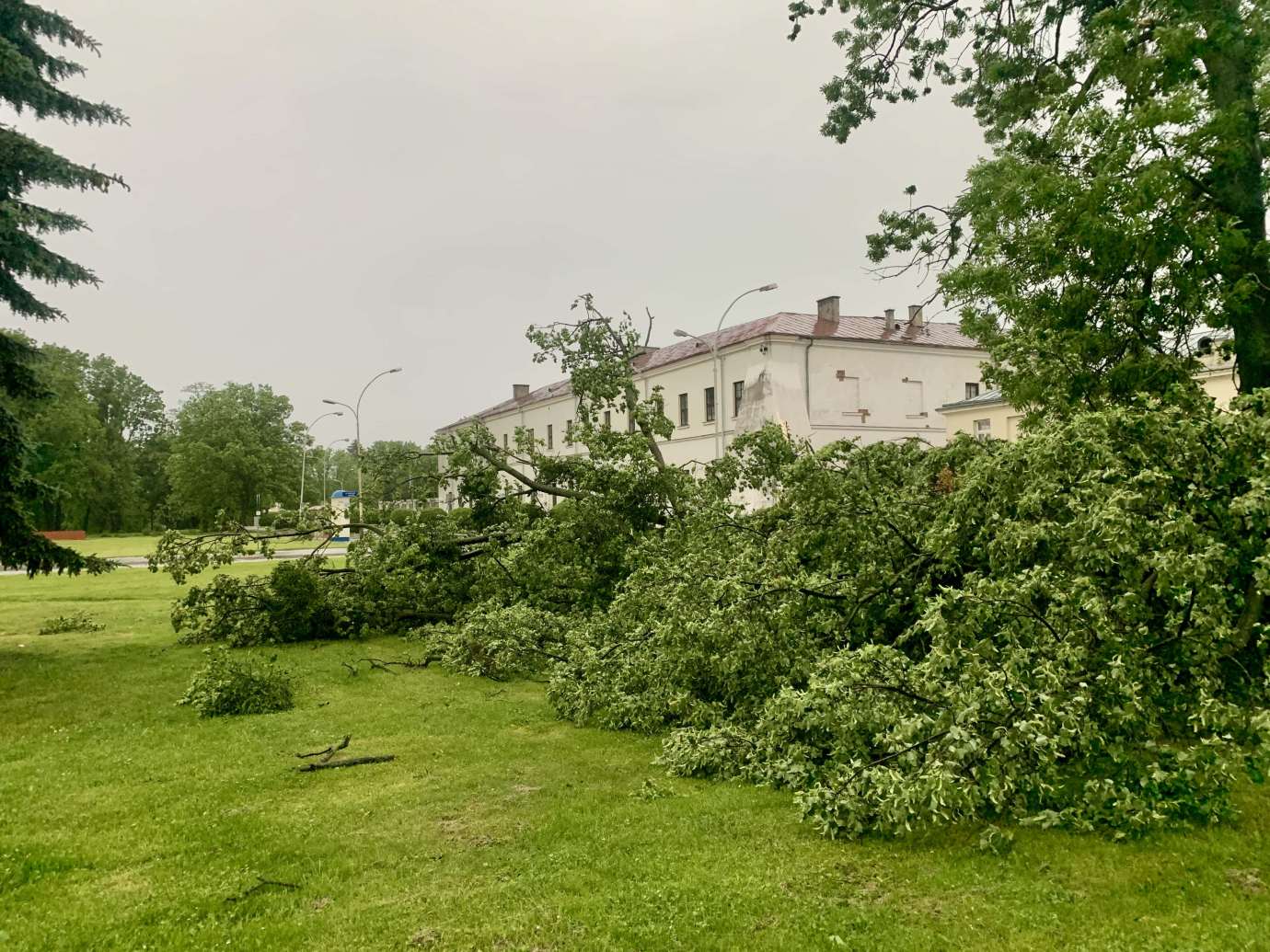 img 9522 3 uszkodzone auta na Królowej Jadwigi, powalone drzewa. Kolejne zdjęcia i FILM