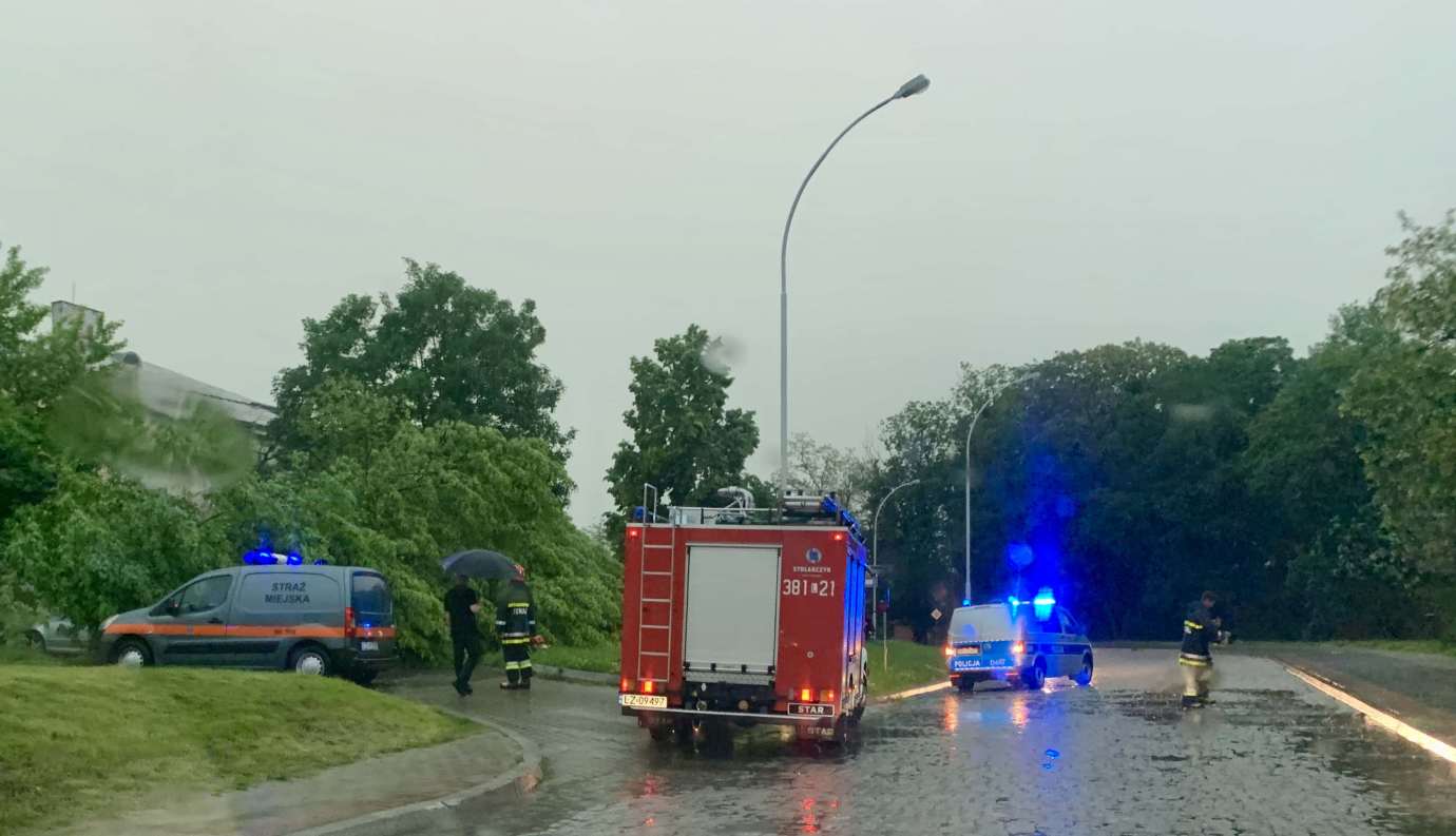 img 9525 3 uszkodzone auta na Królowej Jadwigi, powalone drzewa. Kolejne zdjęcia i FILM