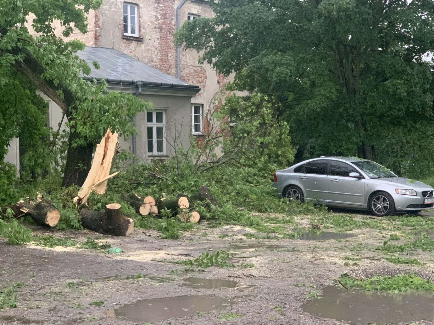 img 9536 Nad Zamościem przeszła potężna burza. Powaliła wiele drzew, które blokują drogi (zdjęcia)