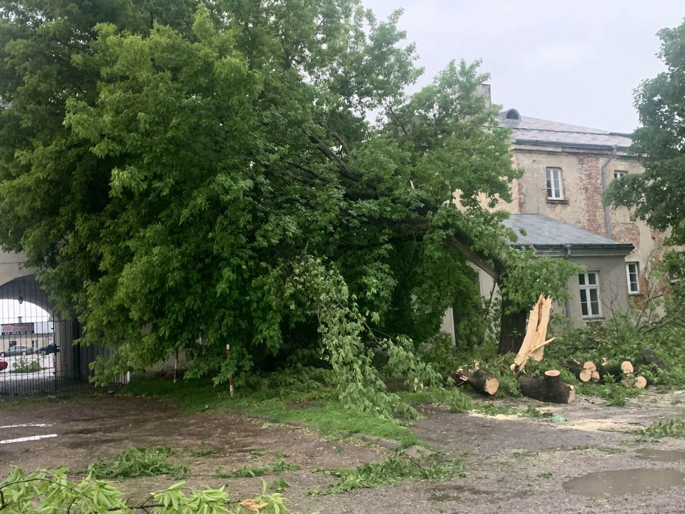 img 9537 Łącznie odnotowano 139 zdarzeń w całym powiecie zamojskim - podsumowanie rzecznika Państwowej Straży Pożarnej