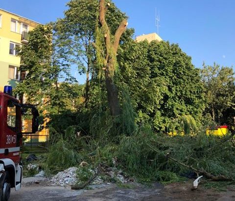 Zerwane dachy, połamane drzewa, uszkodzone samochody. Straty po burzy, która przeszła nad Zamojszczyzną 13 burza 2 Zerwane dachy, połamane drzewa, uszkodzone samochody. Straty po burzy, która przeszła nad Zamojszczyzną