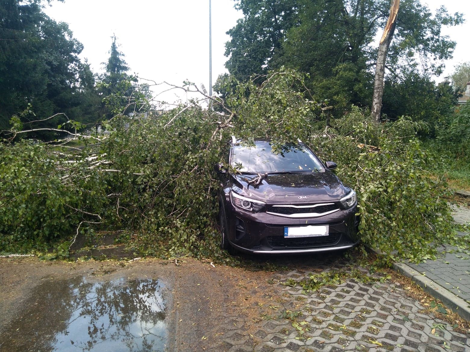 burza 5 Zerwane dachy, połamane drzewa, uszkodzone samochody. Straty po burzy, która przeszła nad Zamojszczyzną