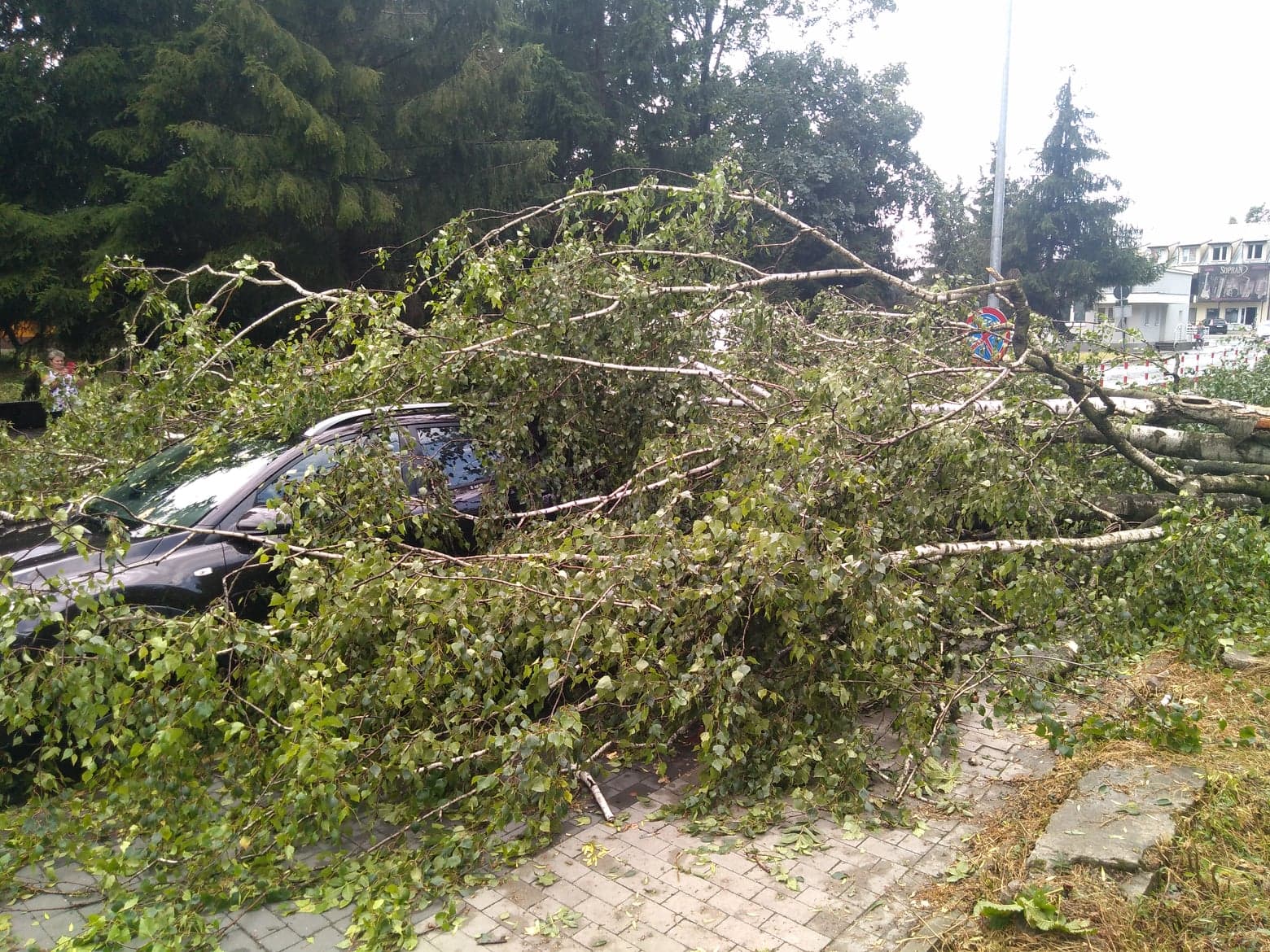 burza 7 Zerwane dachy, połamane drzewa, uszkodzone samochody. Straty po burzy, która przeszła nad Zamojszczyzną