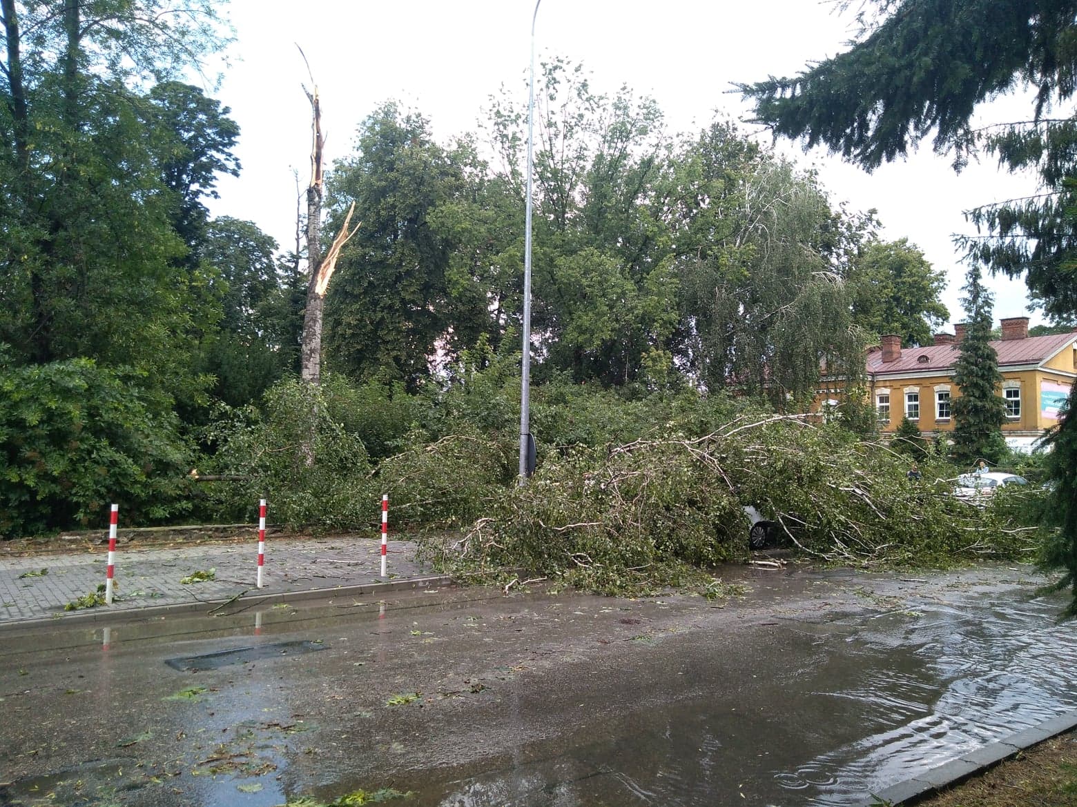 burza 9 Zerwane dachy, połamane drzewa, uszkodzone samochody. Straty po burzy, która przeszła nad Zamojszczyzną