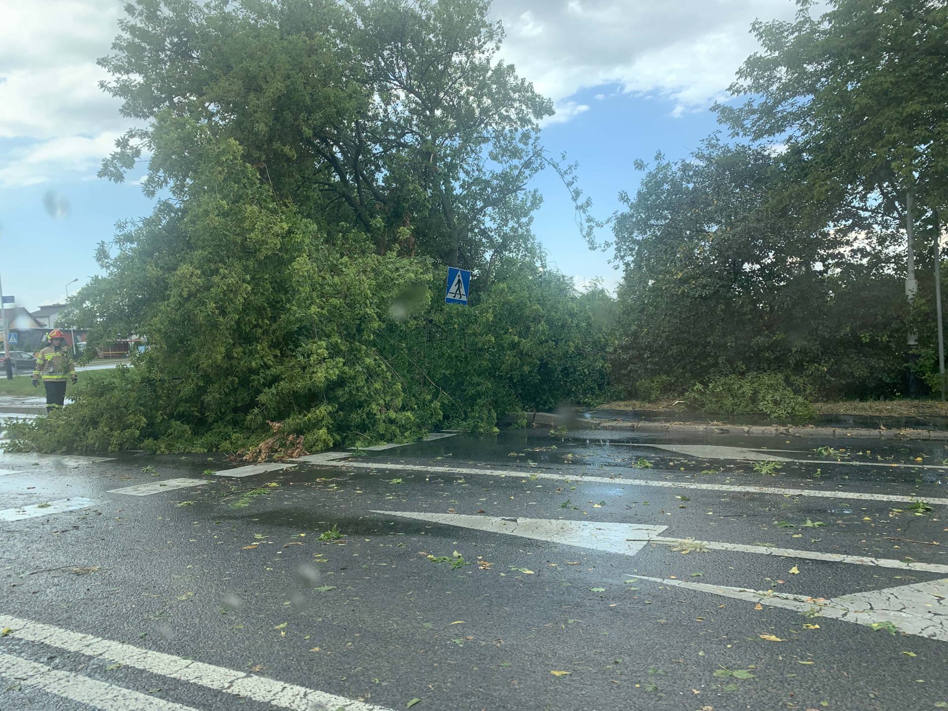 img 0944 Zerwane dachy, połamane drzewa, uszkodzone samochody. Straty po burzy, która przeszła nad Zamojszczyzną