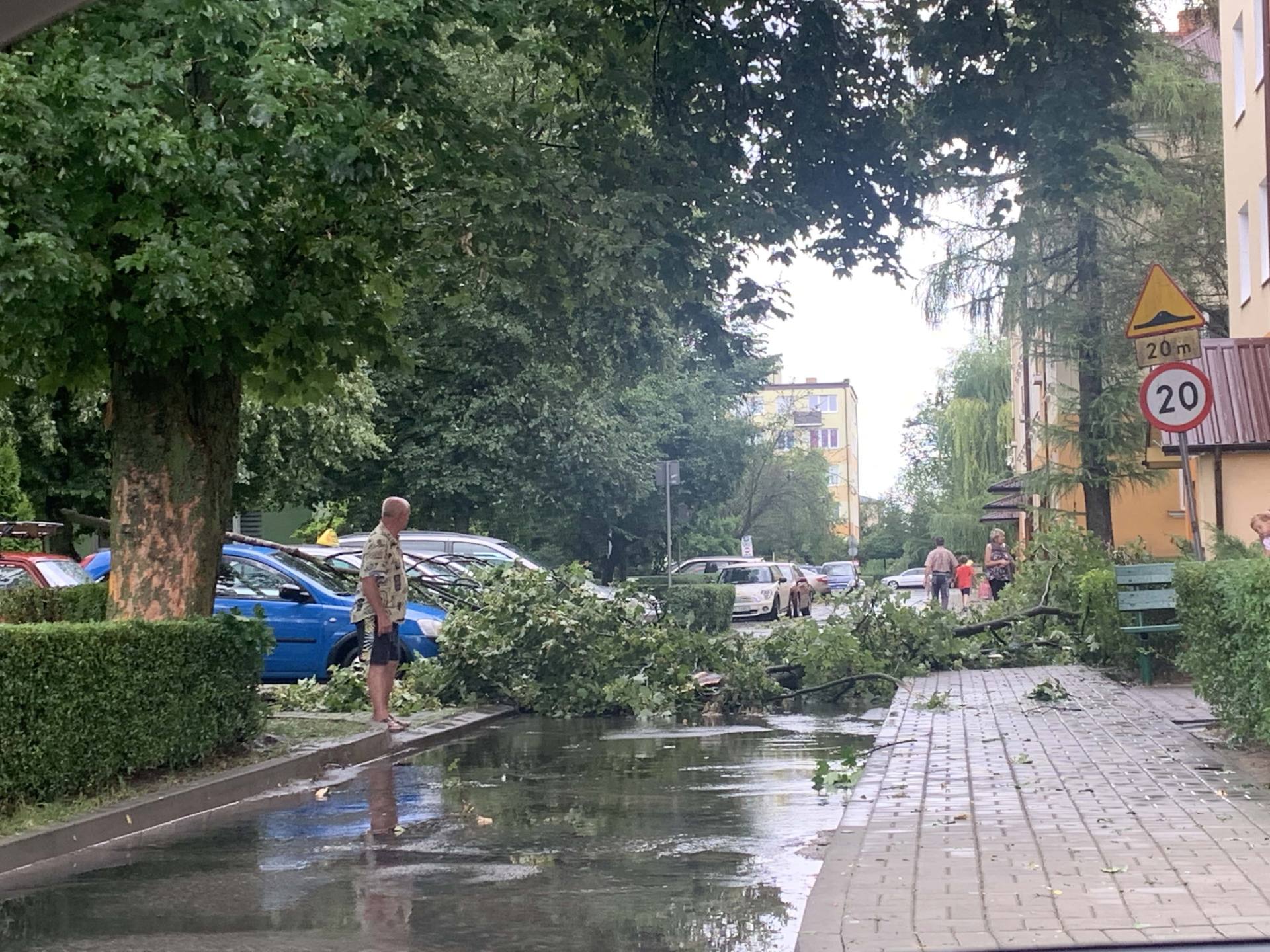 img 0951 Zerwane dachy, połamane drzewa, uszkodzone samochody. Straty po burzy, która przeszła nad Zamojszczyzną