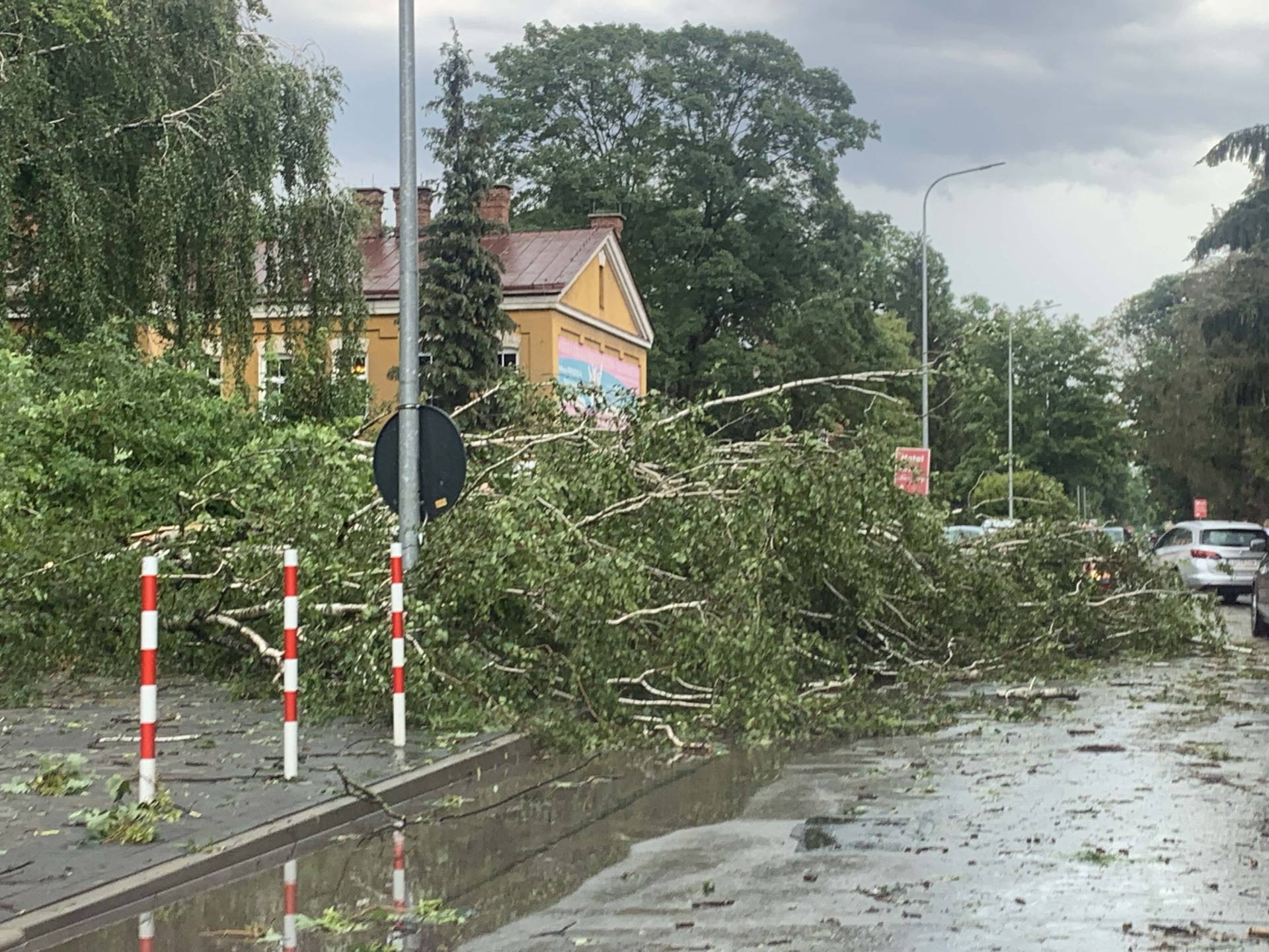 img 0959 Zerwane dachy, połamane drzewa, uszkodzone samochody. Straty po burzy, która przeszła nad Zamojszczyzną