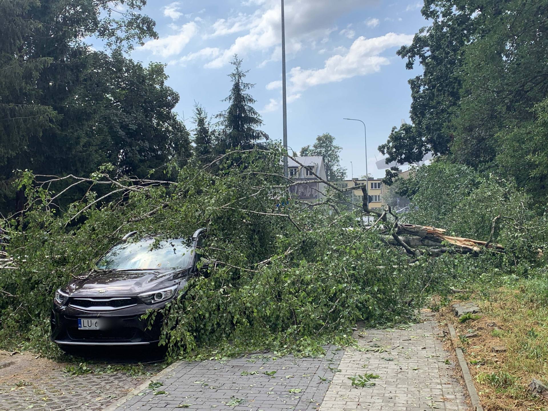 img 0965 Zerwane dachy, połamane drzewa, uszkodzone samochody. Straty po burzy, która przeszła nad Zamojszczyzną