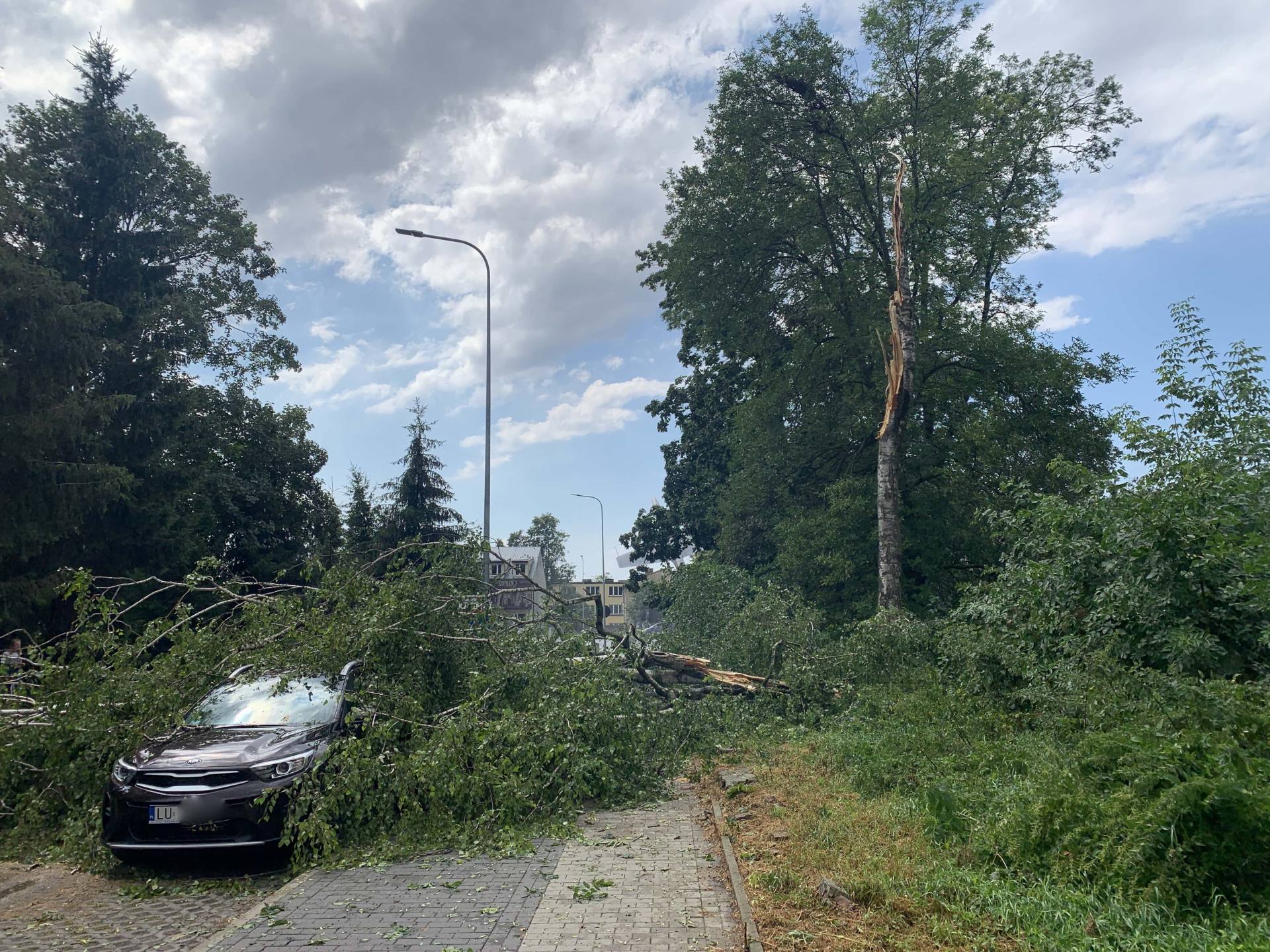 img 0966 Zerwane dachy, połamane drzewa, uszkodzone samochody. Straty po burzy, która przeszła nad Zamojszczyzną