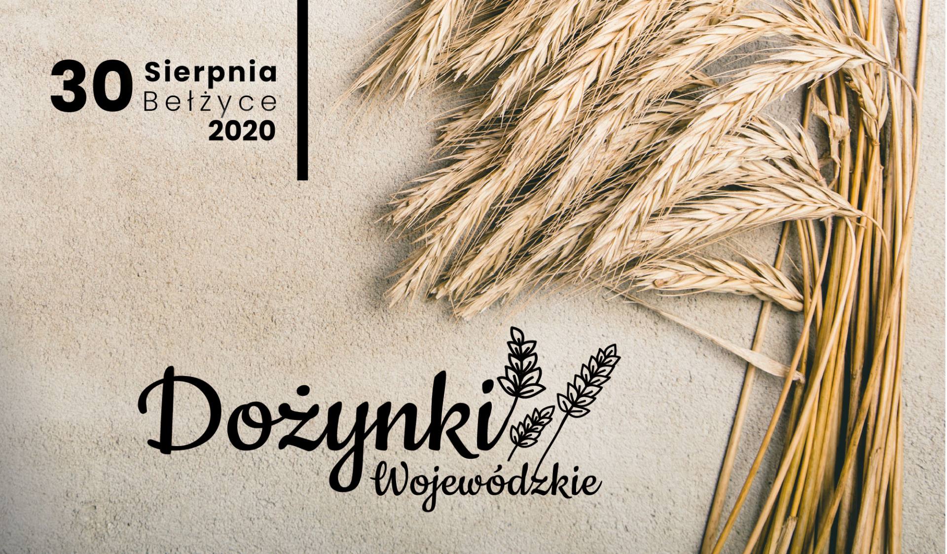 dozynki 2020 Dożynki Wojewódzkie 2020