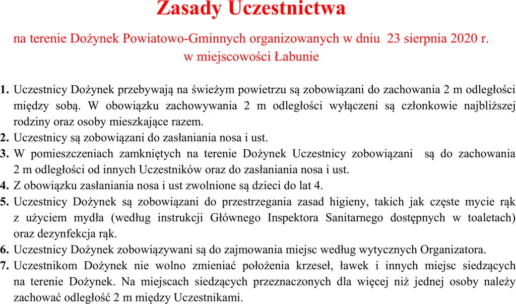 dozynkiii Dożynki Powiatowo-Gminne w Łabuniach