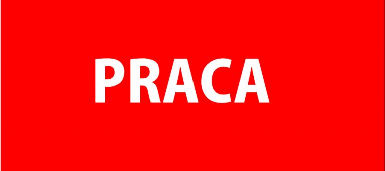 Praca czeka – oferty pracy z zamojskiego PUP