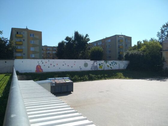 119085688 3977964222219201 3972336699480587415 o W Zamościu powstał nowy mural.