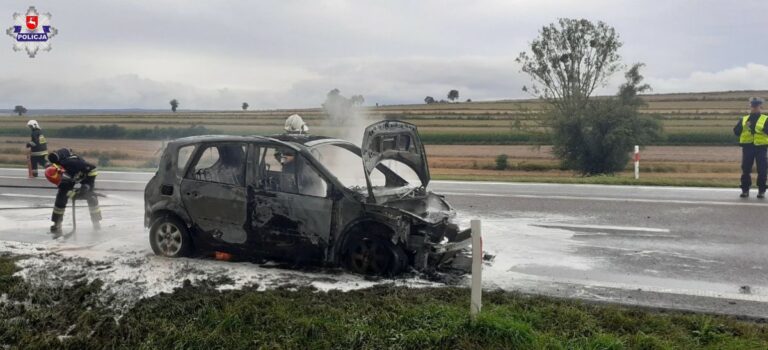 Renault stanęło w płomieniach podczas jazdy (zdjęcia)