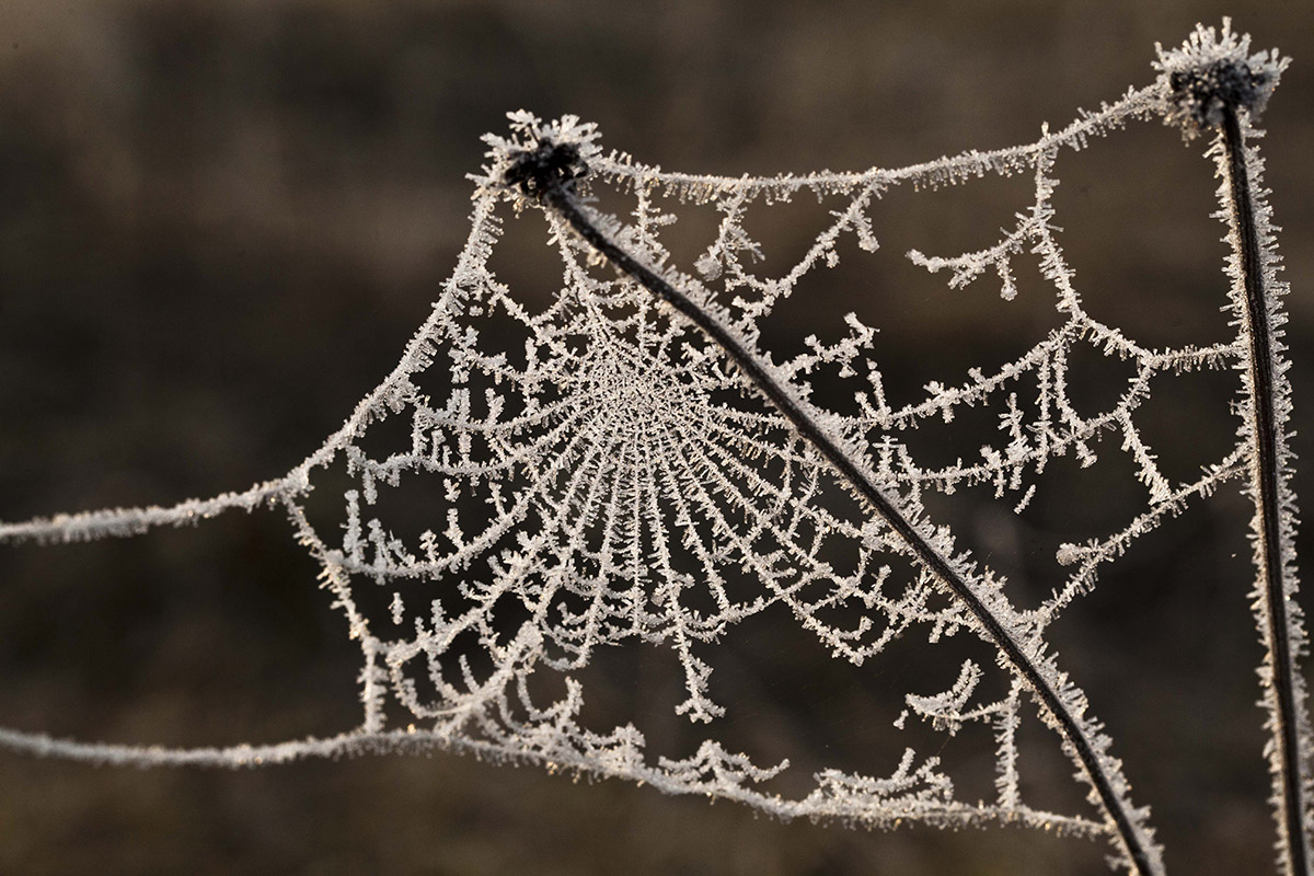 wernisaz3 Wernisaż wystawy fotograficznej ,,Magia natury" autorstwa Tadeusza Łubiarza