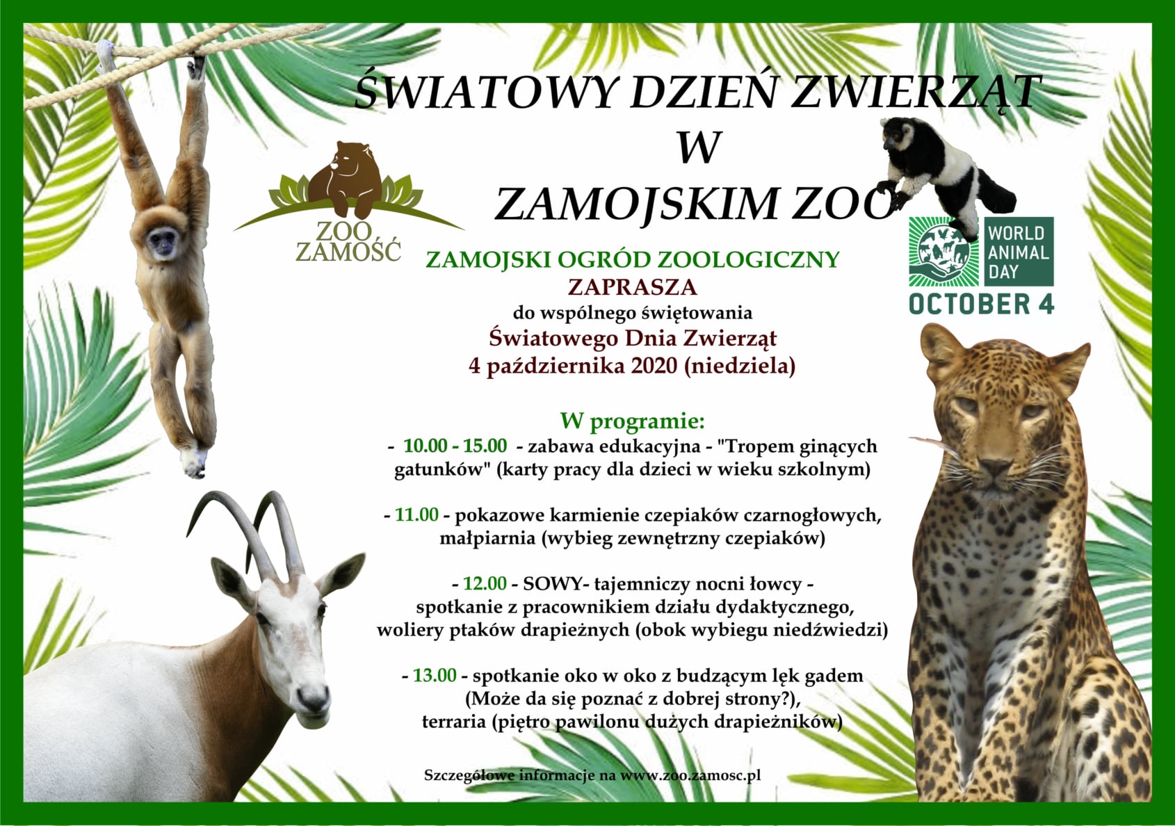 120603301 3486458641433509 7510472174629924012 o ZAMOŚĆ: Atrakcje w ZOO z okazji Światowego Dnia Zwierząt.