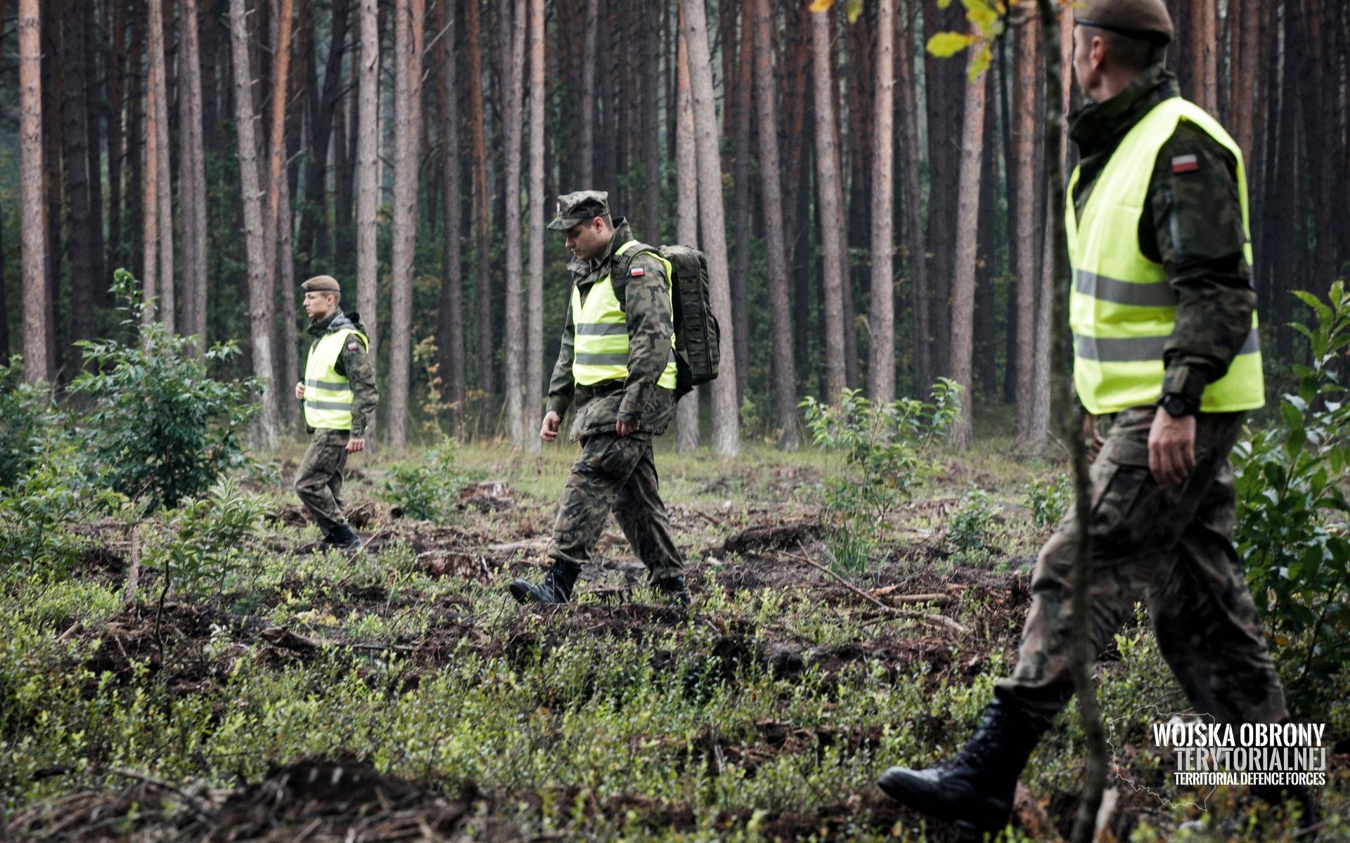 2lbot renegade 3 Terytorialsi szukali pilota i rozbitego myśliwca