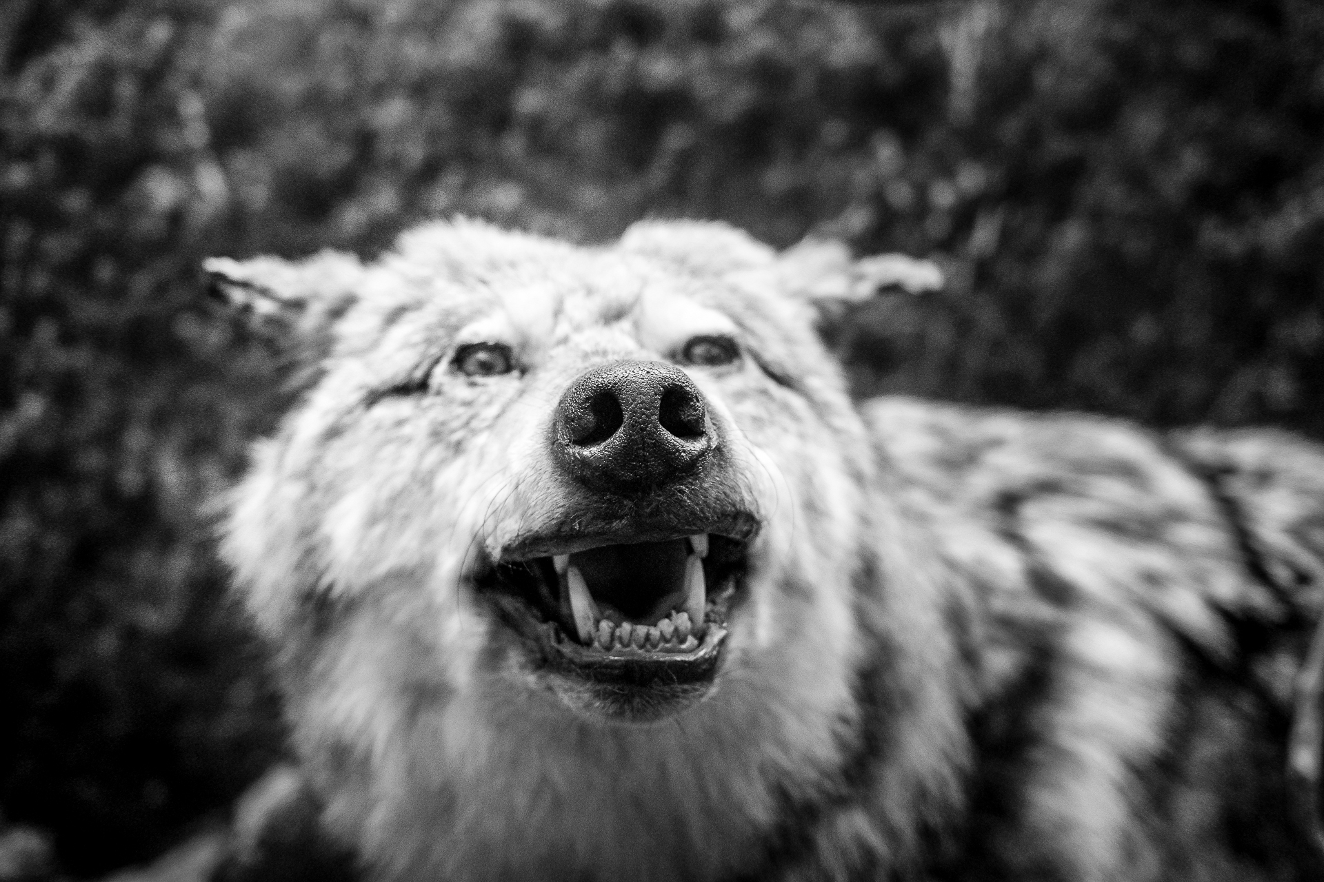 bart krezolek www Zamość: Otwarcie wystawy fotografii Bartka Krężołka pt. MUTE.