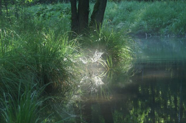 zrzut ekranu 2020 10 16 o 09 52 37 Uchwycili piękno Powiatu Zamojskiego. Poznaliśmy laureatów konkursu fotograficznego