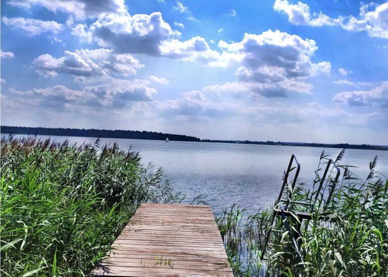 Uchwycili piękno Powiatu Zamojskiego. Poznaliśmy laureatów konkursu fotograficznego