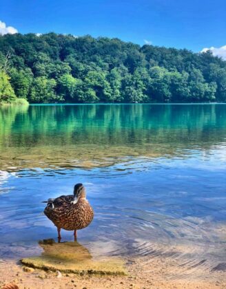 zrzut ekranu 2020 10 16 o 09 55 36 Uchwycili piękno Powiatu Zamojskiego. Poznaliśmy laureatów konkursu fotograficznego