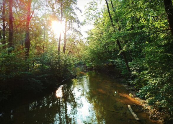 zrzut ekranu 2020 10 16 o 09 55 57 Uchwycili piękno Powiatu Zamojskiego. Poznaliśmy laureatów konkursu fotograficznego