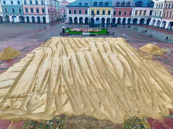 126144286 2843703729233079 5691799516521767925 o Zamość: Mimo pandemii budują lodowisko. 