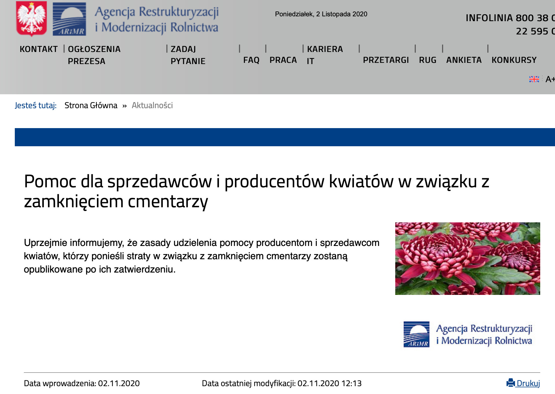 zrzut ekranu 2020 11 2 o 13 54 30 Rząd pomoże producentom chryzantem. Płaci 11 zł za doniczkę kwiatów